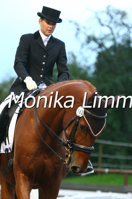 109M0658_Wild Wisper_L_Dressur.JPG